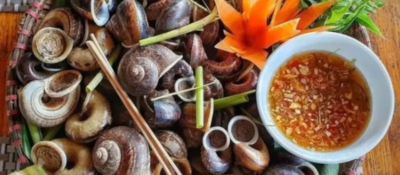 D&eacute;couvrir l'authenticit&eacute; de la cuisine Ninh Binh lors d'un voyage au Vietnam