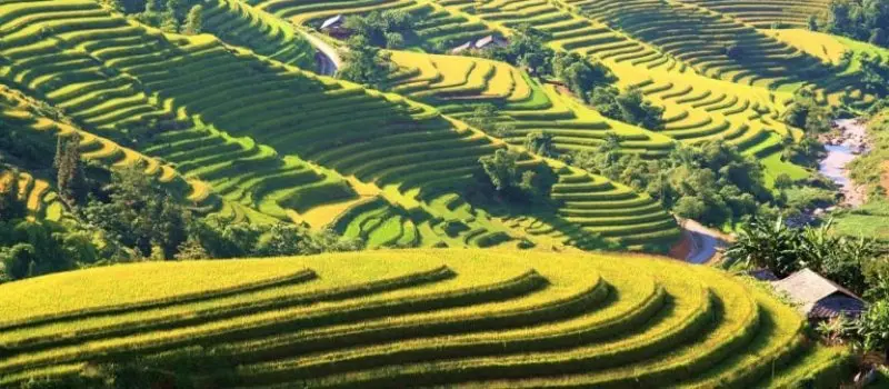 Hoang Su Phi, Vietnam