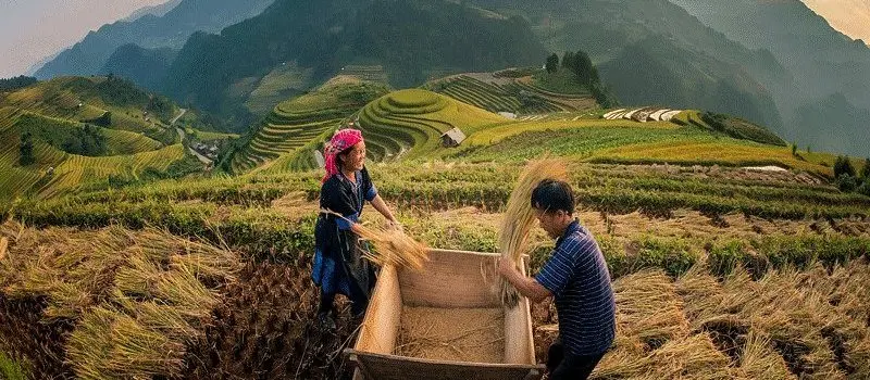 Trekking &agrave; Sapa