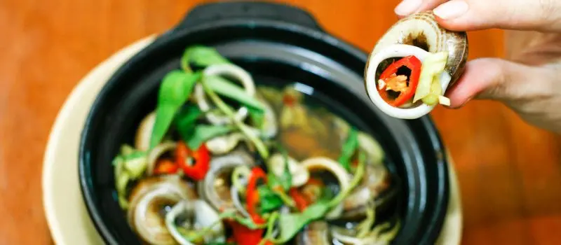 Escargots des montagnes