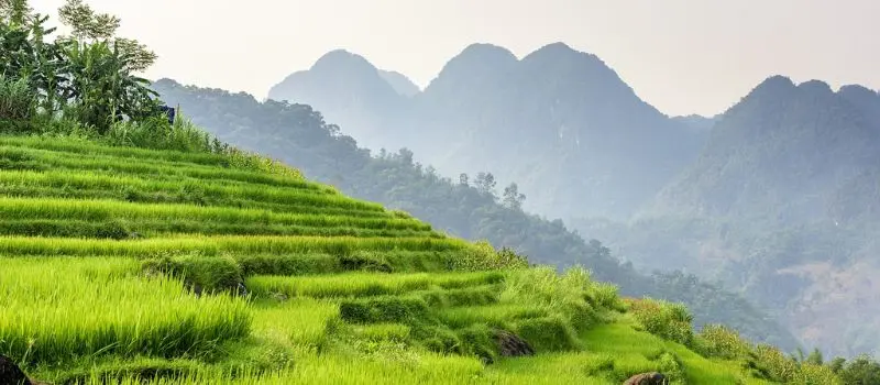 Circuit D&eacute;couvert Pu Luong avec notre agence de voyage au Vietnam