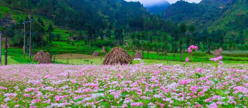 7 jours d&eacute;couverte Nord-Est du Vietnam
