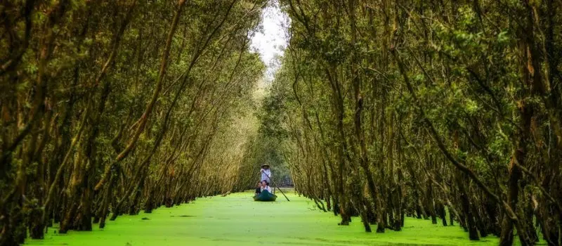 For&ecirc;t de cajeput de Tra Su, Chau Doc
