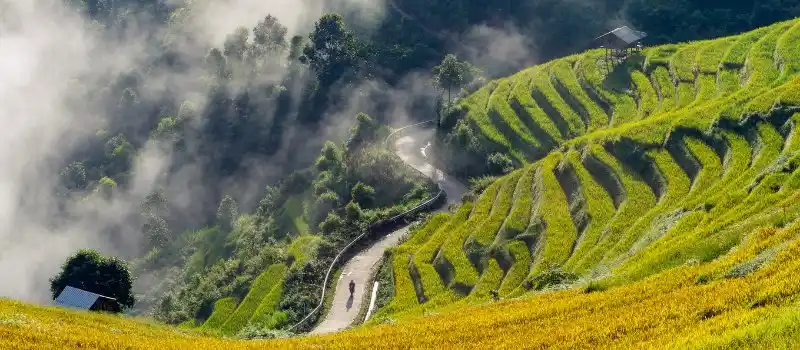 Mu Cang Chai avec les plus belles rizi&egrave;res en terrasses du Vietnam