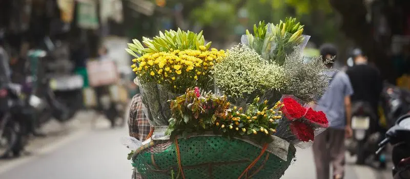 Voyage au Vietnam, Cambodge et Laos au meilleur prix