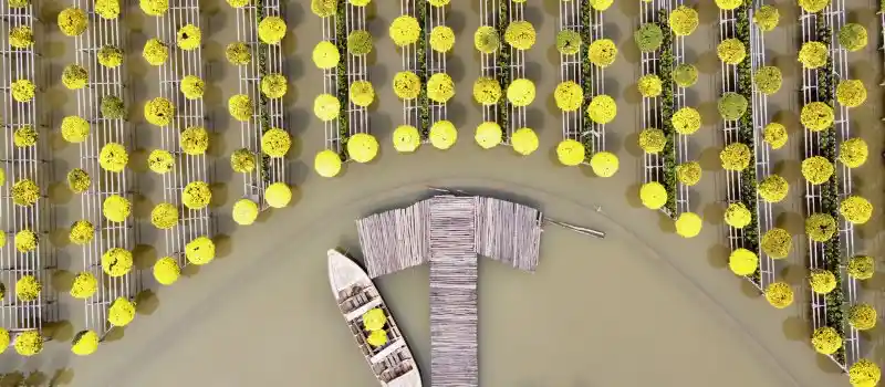 5 jours dans le voyage au delta du M&eacute;kong