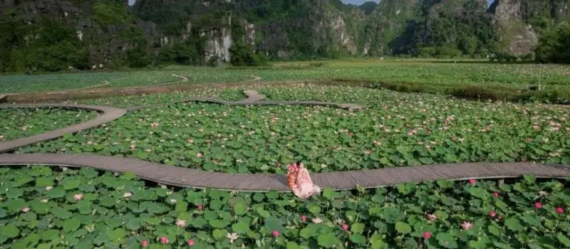 Beaut&eacute; naturelle de Ninh Binh