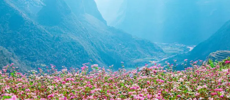 Beaut&eacute; naturelle de Ha Giang