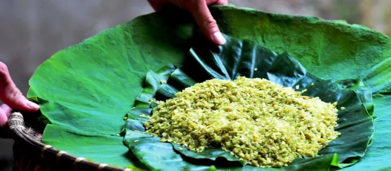 Plats d&rsquo;automne