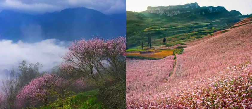 Visiter la montagne Ham Rong Sapa avec un Guide francophone au Vietnam