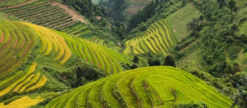 Voyage au Vietnam pas cher