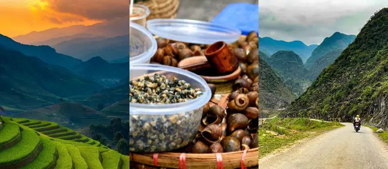 Types de voyage au Vietnam