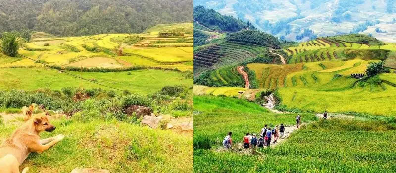 D&eacute;couvrir Sapa hors des sentiers battus avec Guide francophone au Vietnam