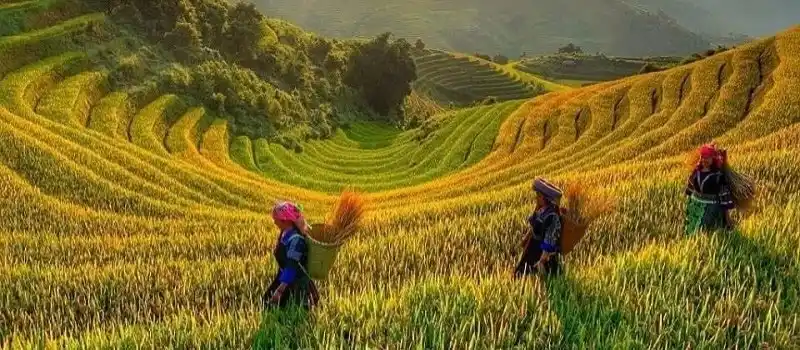 Beaut&eacute; unique de Hoang Su Phi