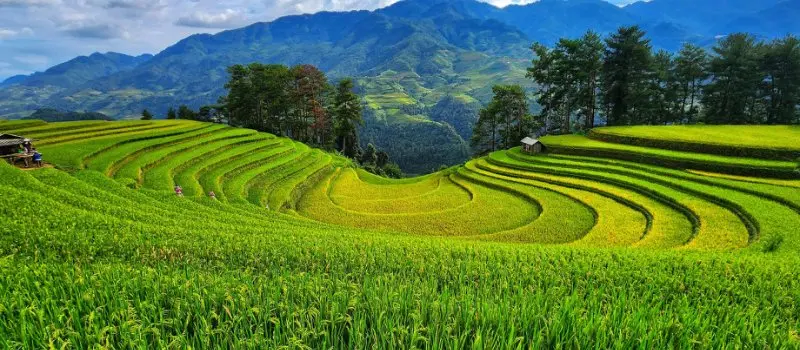 Beaut&eacute; naturelle de Mu Cang Chai