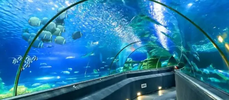 Importance de l'&eacute;cosyst&egrave;me marin et de la conservation de l'environnement