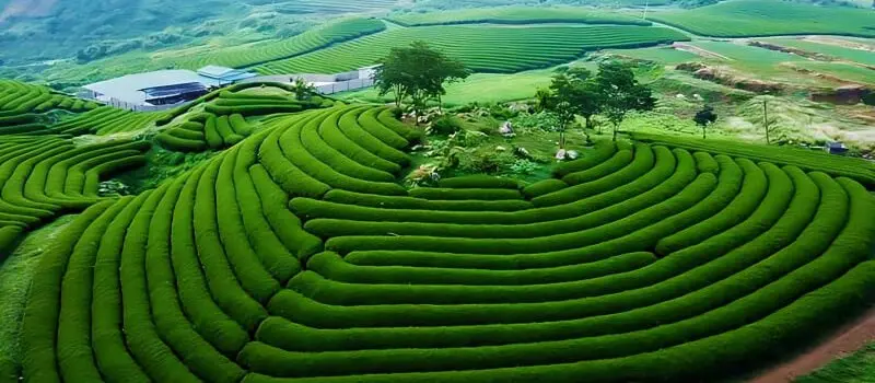 Voyage &agrave; Son La