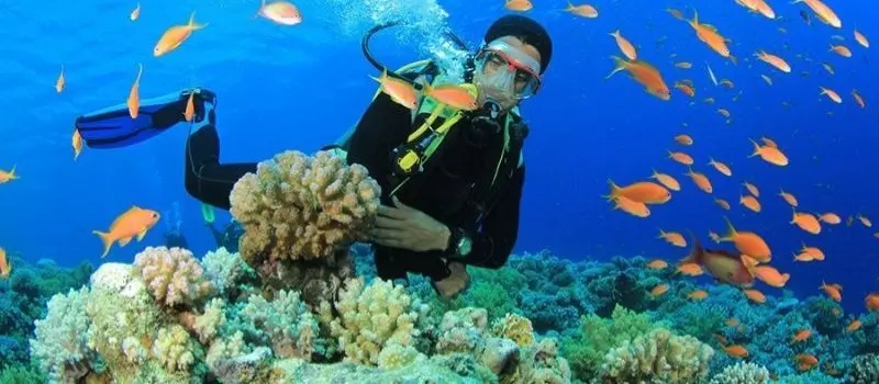 Plong&eacute;e au Vietnam