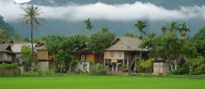Explorer les maisons sur pilotis Mai Chau