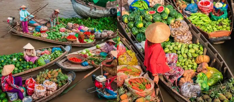 Excursion dans les vergers de fruits