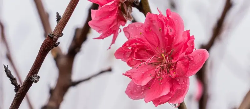 Participer au T&ecirc;t traditionnel au Vietnam