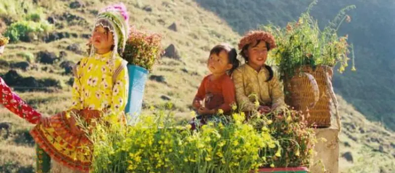 Voyage &agrave; Ha Giang