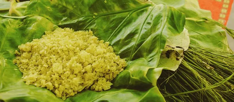 Street food d'automne