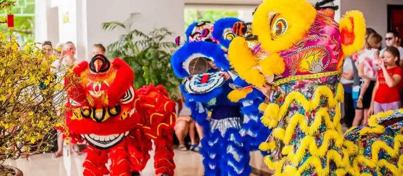 Immersion unique dans les traditions vietnamiennes