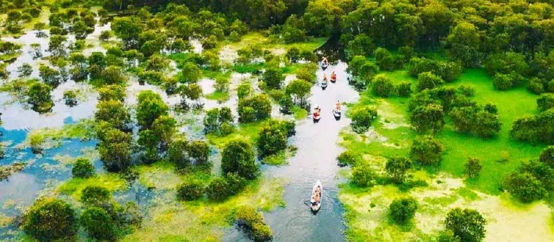 Explorer la for&ecirc;t de Tra Su