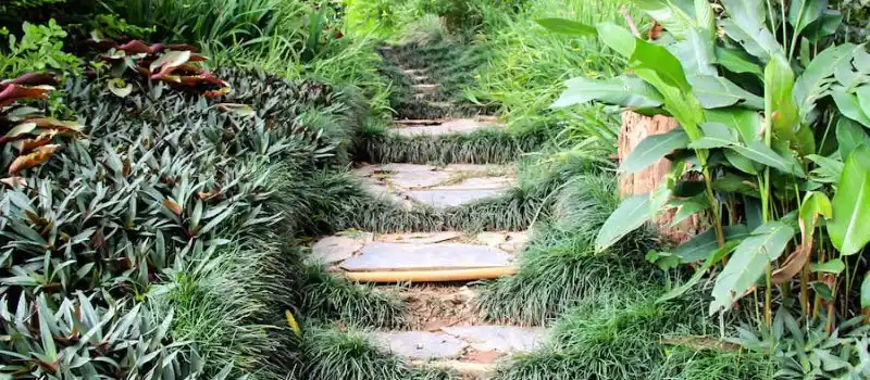 Jardin botanique Pha Tad Ke