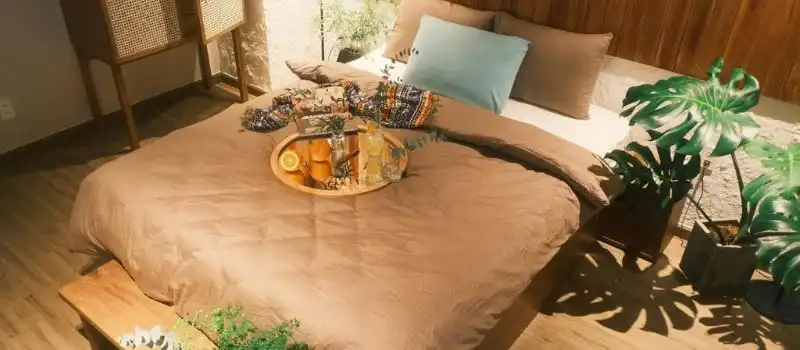 Komorebi An Son Da Lat