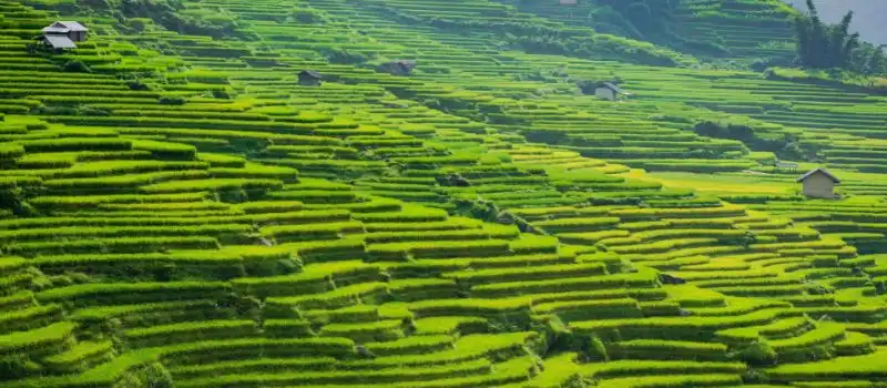 La personnalisation, cœur battant d’un voyage sur mesure au Vietnam La personnalisation, cœur battant d’un voyage sur mesure au Vietnam