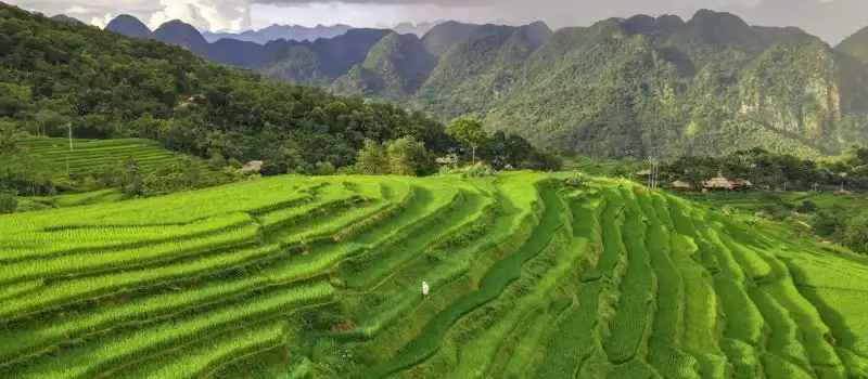 La r&eacute;serve naturelle de Pu Luong