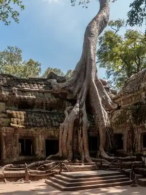 La saison s&egrave;che Cambodge