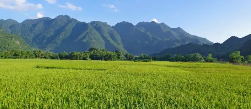 La vall&eacute;e de Mai Chau