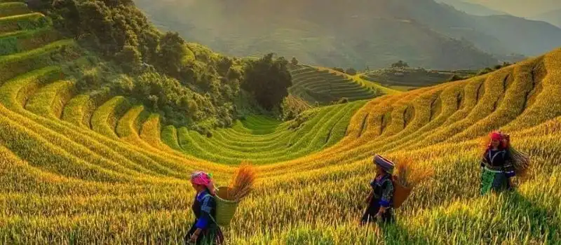 Le meilleur moment pour visiter Pu Luong