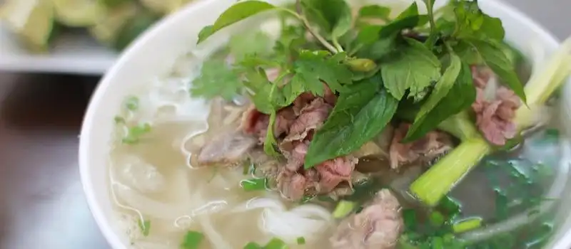 Le Pho embl&eacute;matique