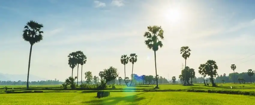 Les meilleurs terrains de golf &agrave; Ho Chi Minh et Sud du Vietnam