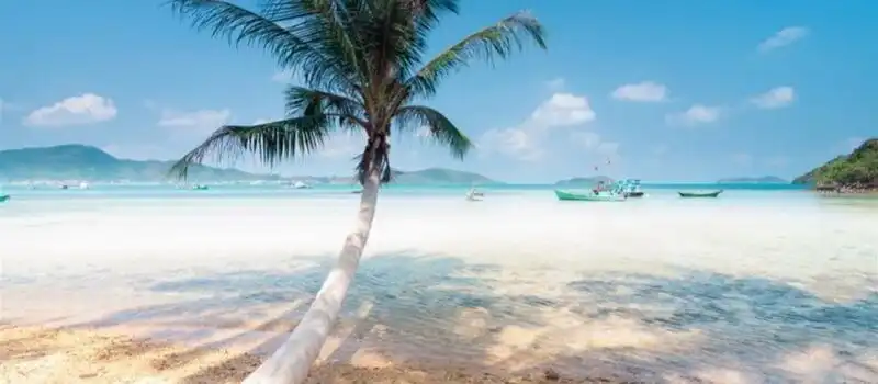 L’île de Hon Lon L’île de Hon Lon