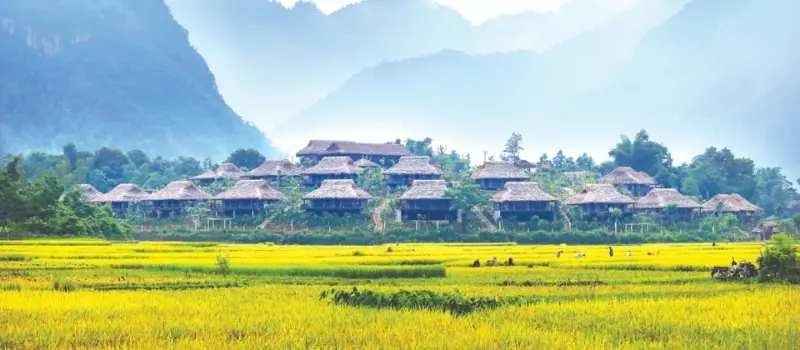Mai Chau - S&eacute;r&eacute;nit&eacute; dans une vall&eacute;e verdoyante