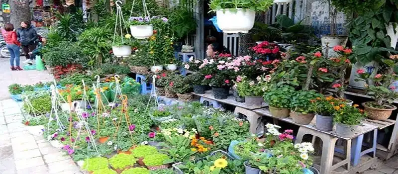 March&eacute; aux fleurs de Buoi