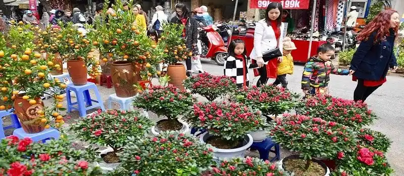 March&eacute; aux fleurs de H&agrave;ng Luoc