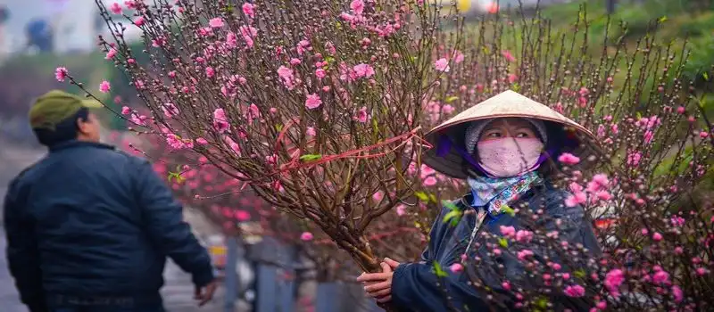 March&eacute; aux fleurs de p&ecirc;cher de Lac Long Qu&acirc;n