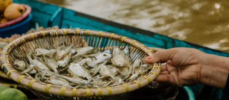 March&eacute; flottant de Tra On