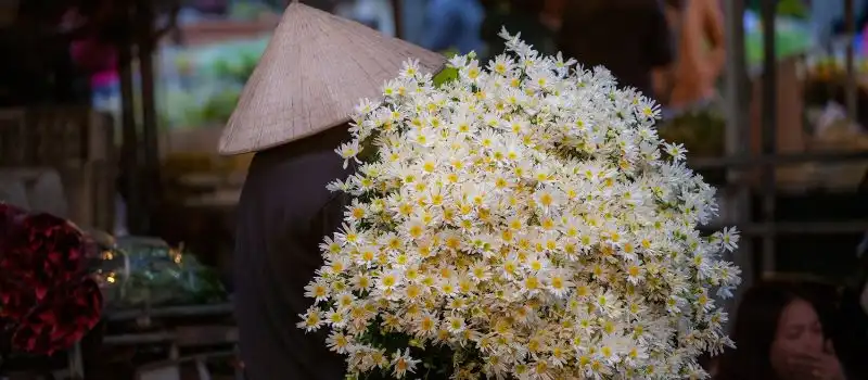marches-aux-fleurs-du-printemps