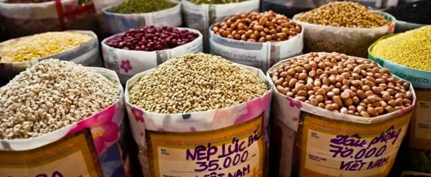 marches-de-campagne-au-vietnam