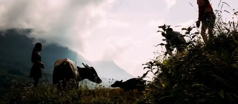 Moment id&eacute;al pour voyager au Vietnam pas cher