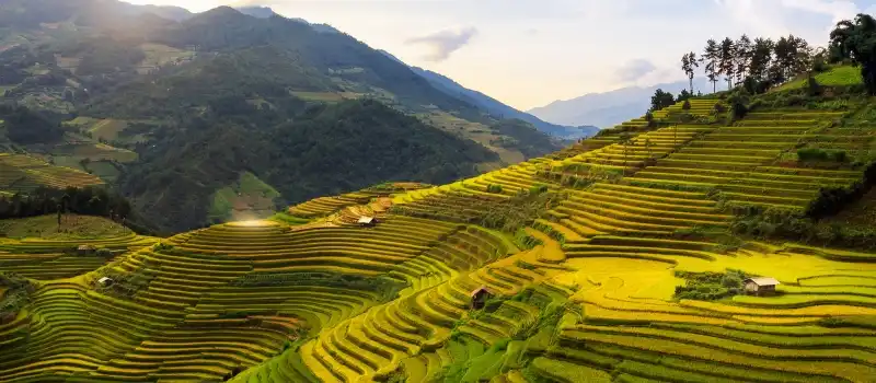 Exploration des rizi&egrave;res en terrasse de Mu Cang Chai &agrave; pied ou &agrave; moto