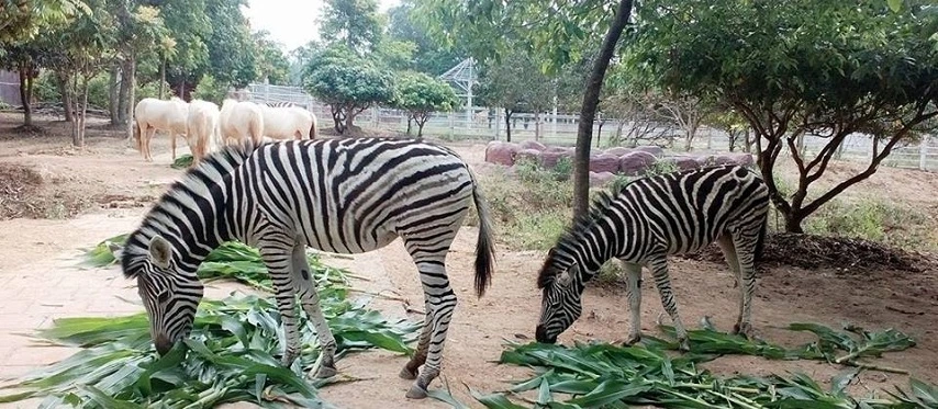 Zone &eacute;cologique de Muong Thanh Dien Lam