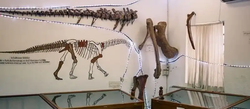 Mus&eacute;e des Dinosaures de Savannakhet
